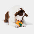 VETRESKA Tangerine Knot Rope Dog Toy