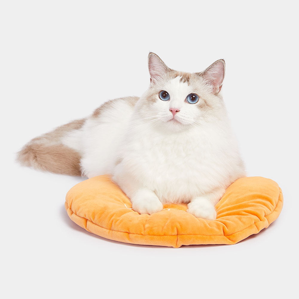 Petco cactus 2024 cat bed