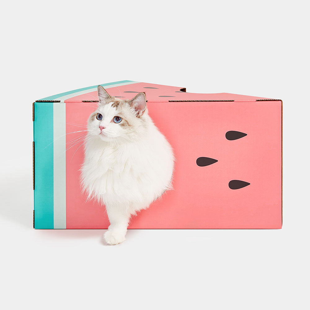 VETRESKA Watermelon Cat Scratching Box