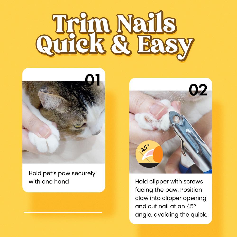 Cut cat nails clearance with nail clippers