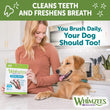 Whimzees Toothbrush Extra Extra Small Grain-Free Dental Dog Treats 113pc