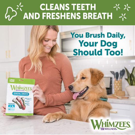 Whimzees Hedgehog Large Grain-Free Dental Dog Treats 6pc