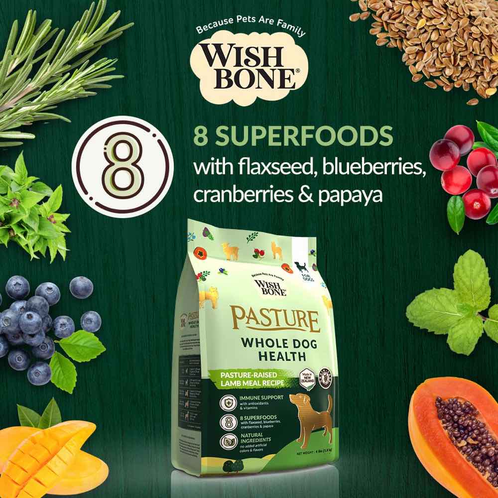 15% OFF: Wishbone Pasture Lamb Meal Grain-Free Dry Dog Food - Kohepets