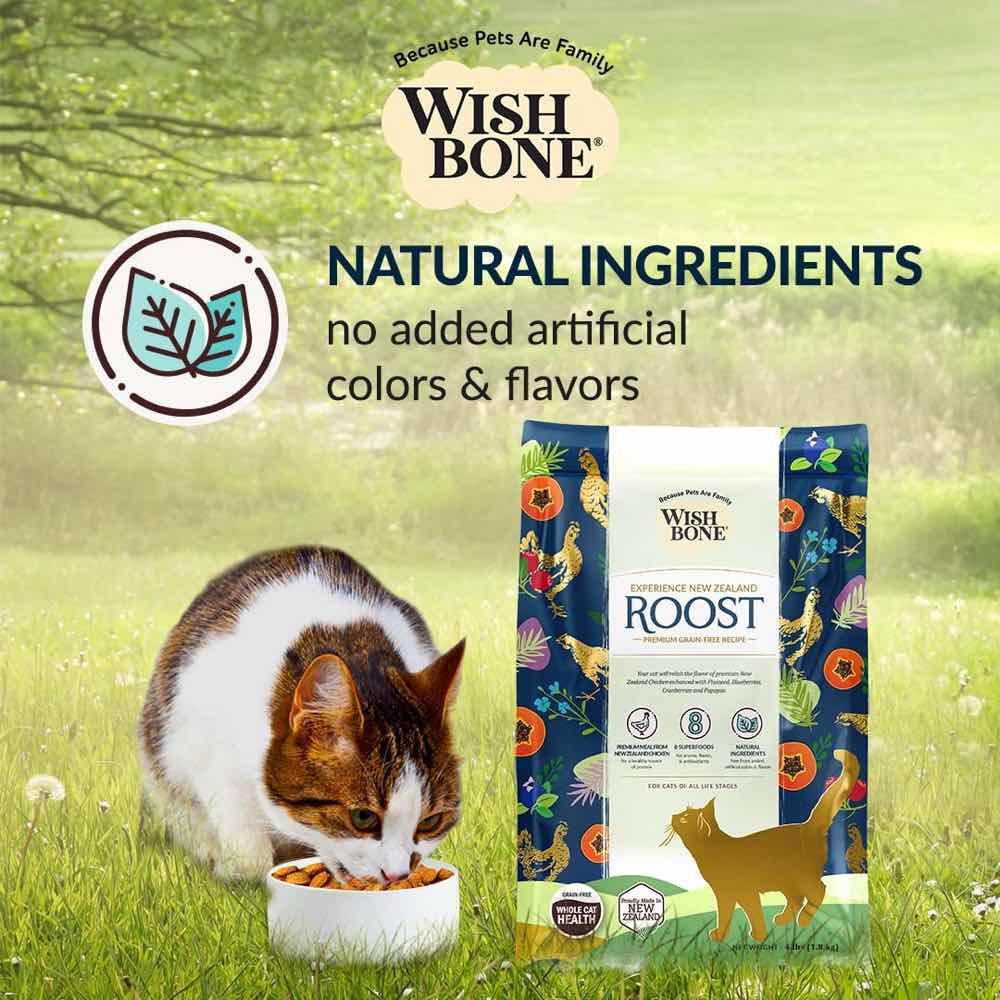 25% OFF: Wishbone Roost Chicken Grain-Free Dry Cat Food 4lb