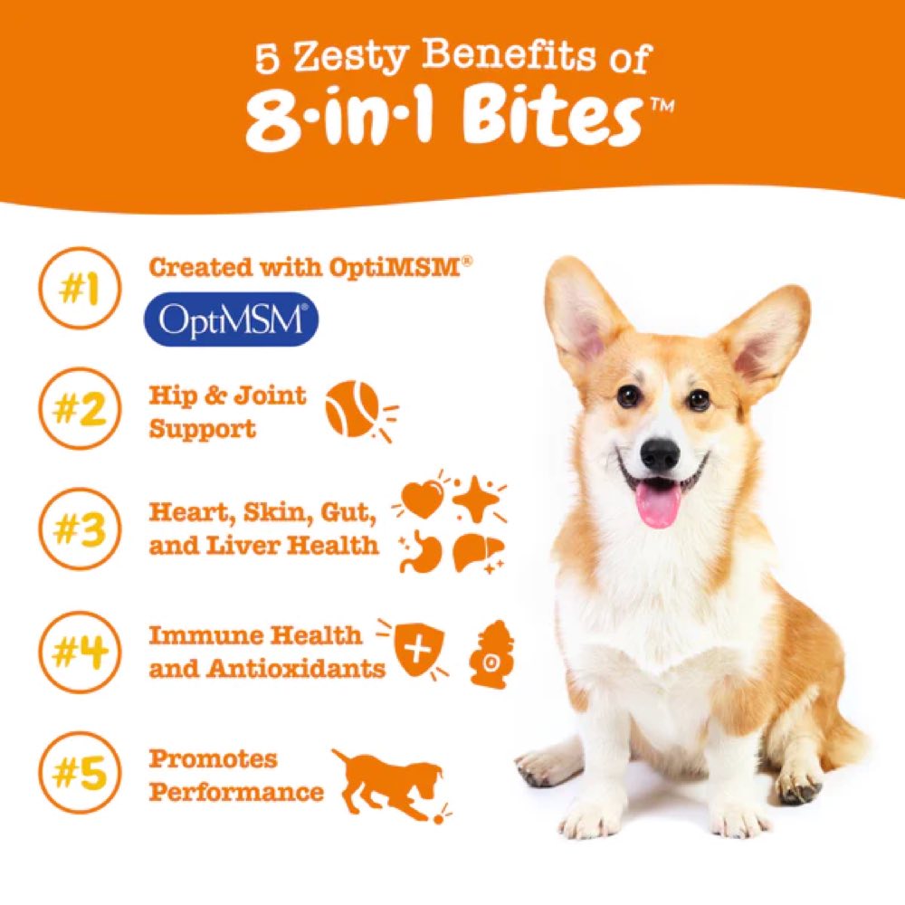 10% OFF: Zesty Paws 8-in-1 Bites Chicken Flavor Dog Supplement Chews 90ct