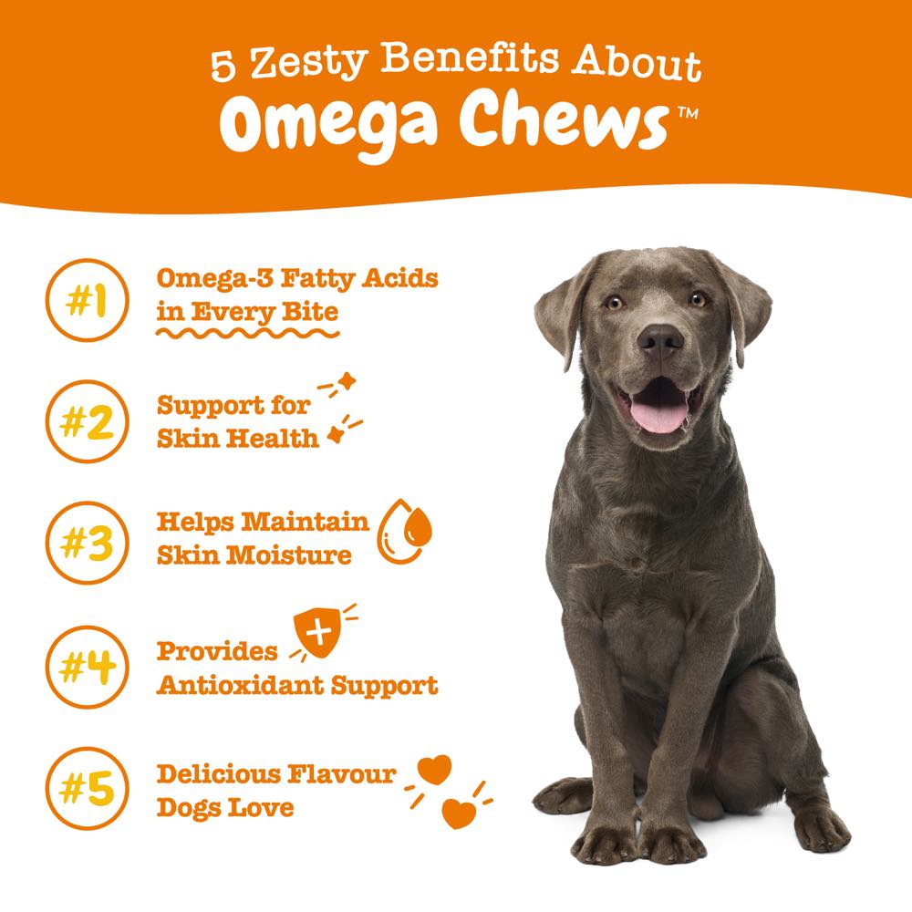 10% OFF: Zesty Paws Omega Bites Chicken Flavor Dog Supplement Chews 90ct