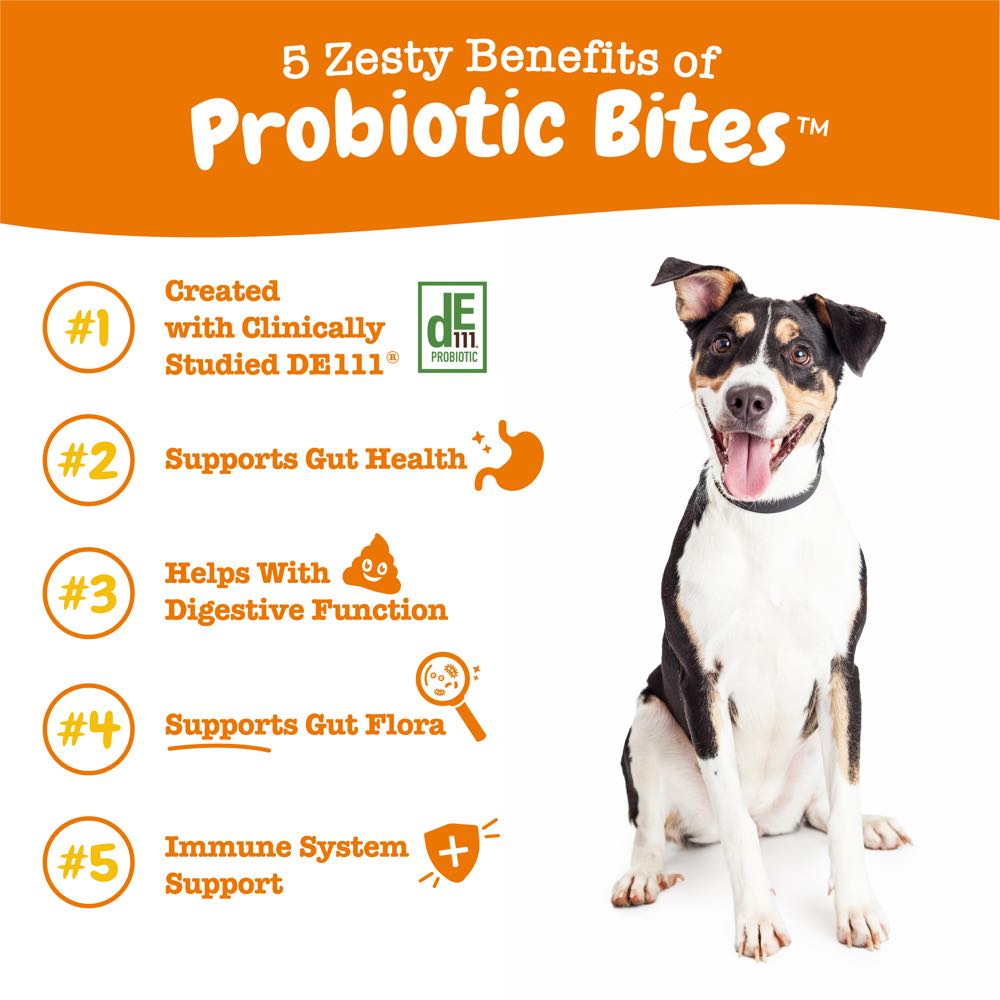 Zesty Paws Probiotic Bites Pumpkin Flavor Dog Supplement Chews 90ct Kohepets