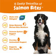 10% OFF: Zesty Paws Salmon Bites Salmon Flavor Dog Supplement Chews 90ct