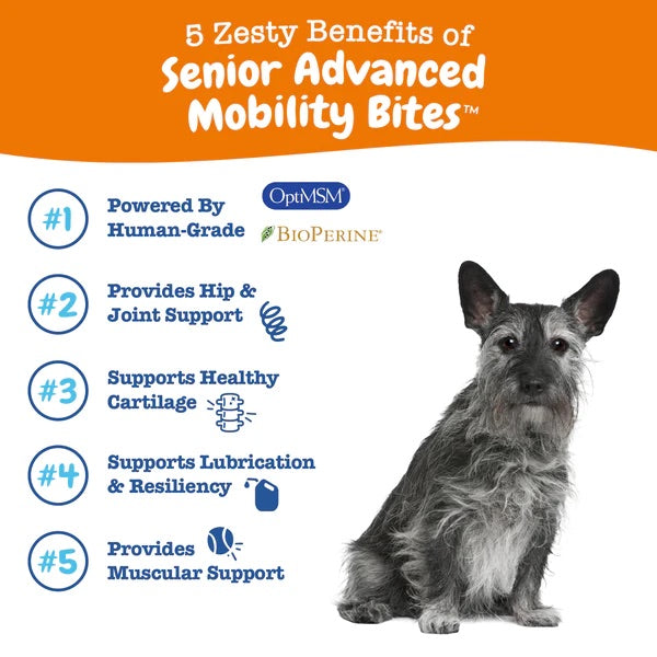 10% OFF: Zesty Paws Senior Advanced Mobility Bites Chicken Flavor Dog Supplement Chews 90ct