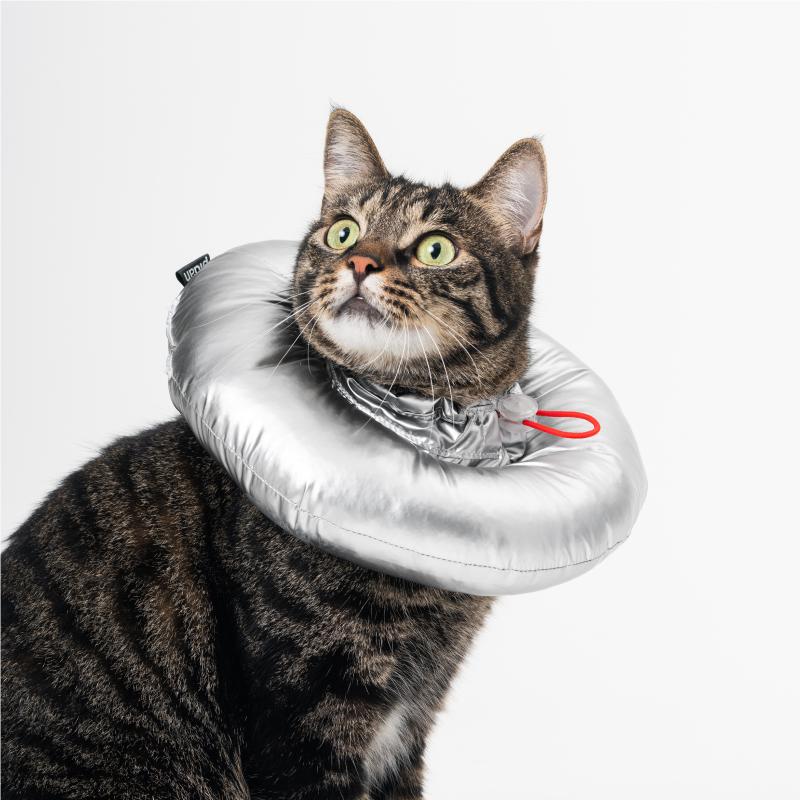 Electronic collar hotsell for cats