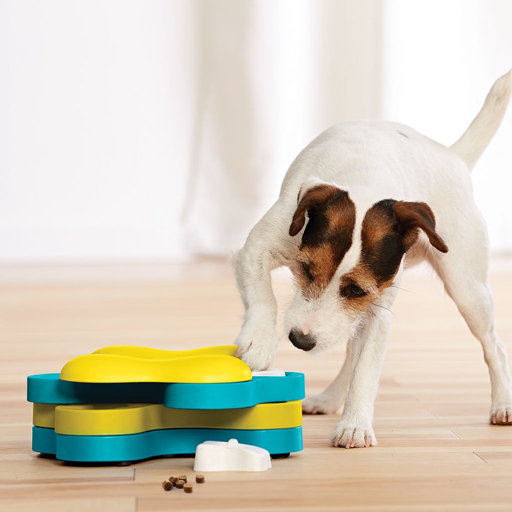 Nina Ottosson Dog Treat Maze Interactive Dog Toy