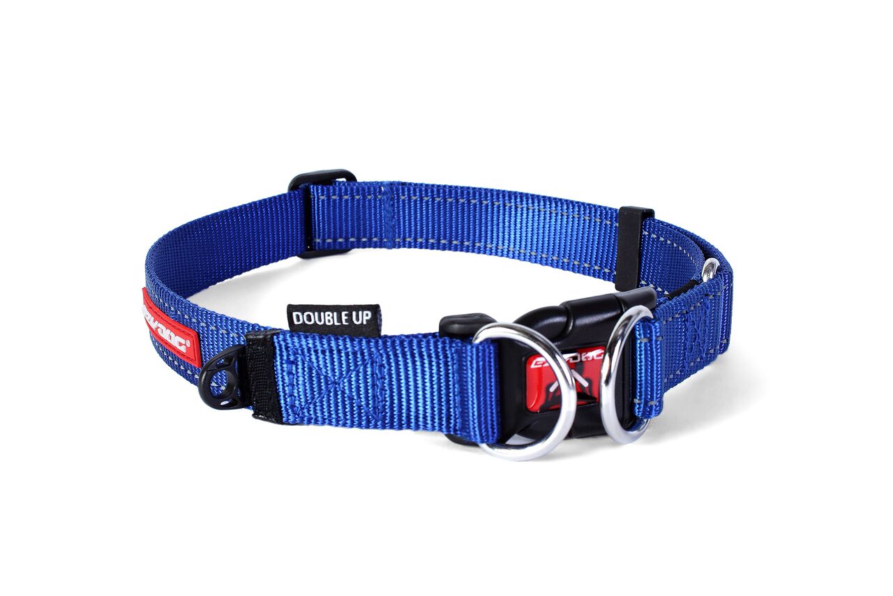 Ezydog best sale martingale collar