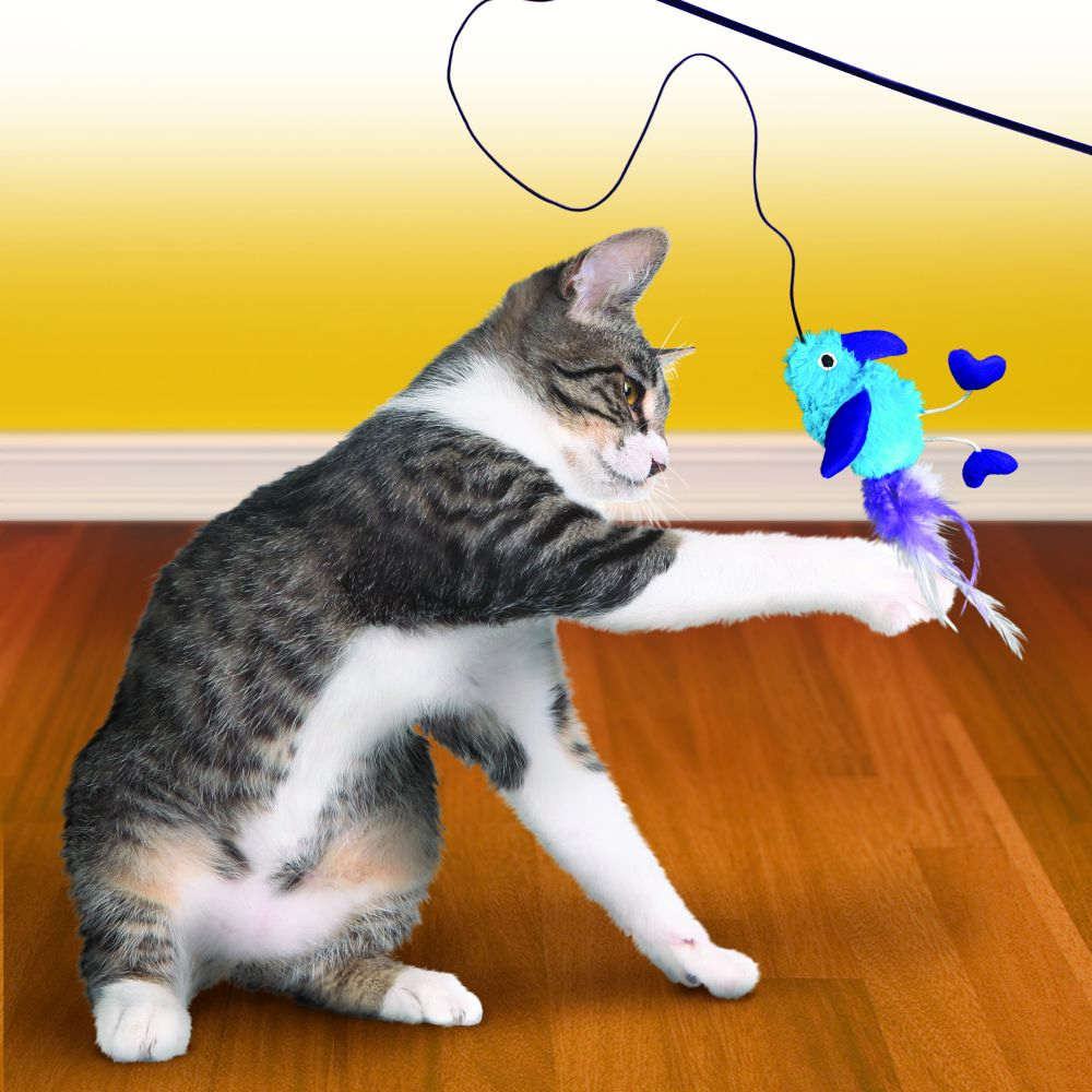 Cat feather wand outlet toy