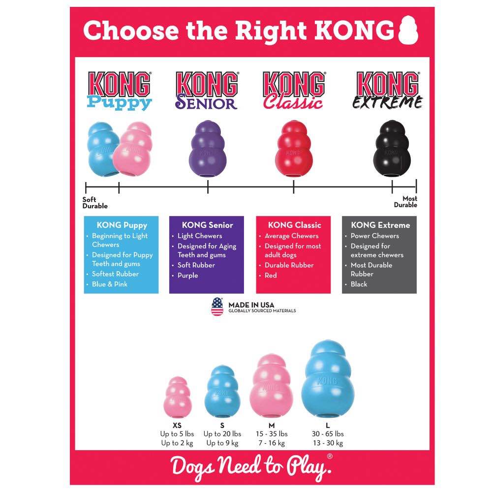 can you give a puppy a kong