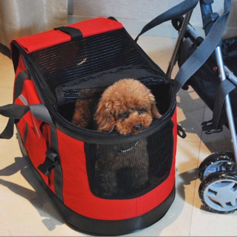 Petcomer pet outlet carrier