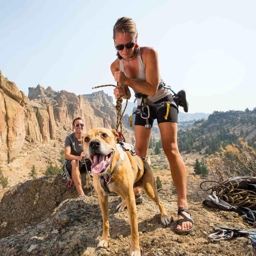 Ruffwear double hot sale back