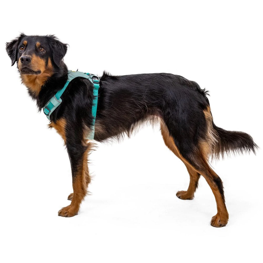 Ruffwear hi best sale & light harness