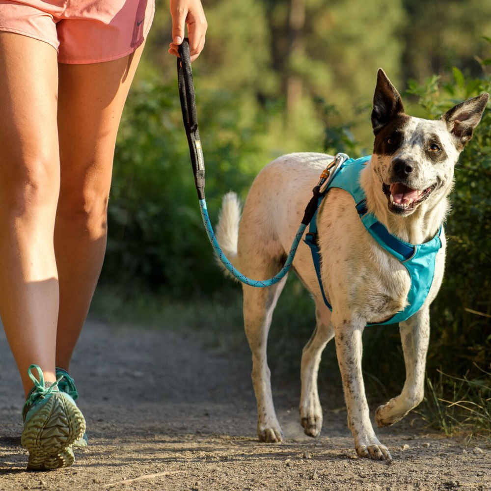 Ruffwear Knot a Long Reflective Rope Traffic Dog Leash Blue Atoll