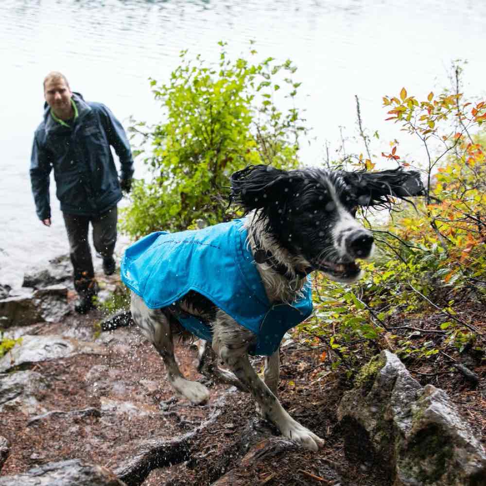 Medium size dog on sale raincoat