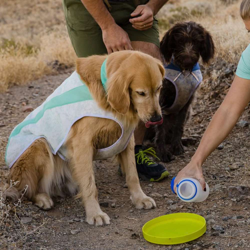 Ruffwear Swamp Cooler Reflective Cooling Dog Vest Sage Green