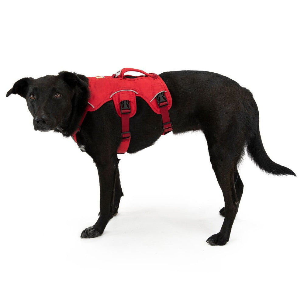 Ruffwear Web Master Secure Multi Function Handled Dog Harness