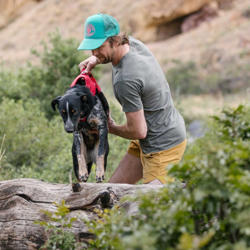 Ruffwear Web Master Secure Multi Function Handled Dog Harness Red