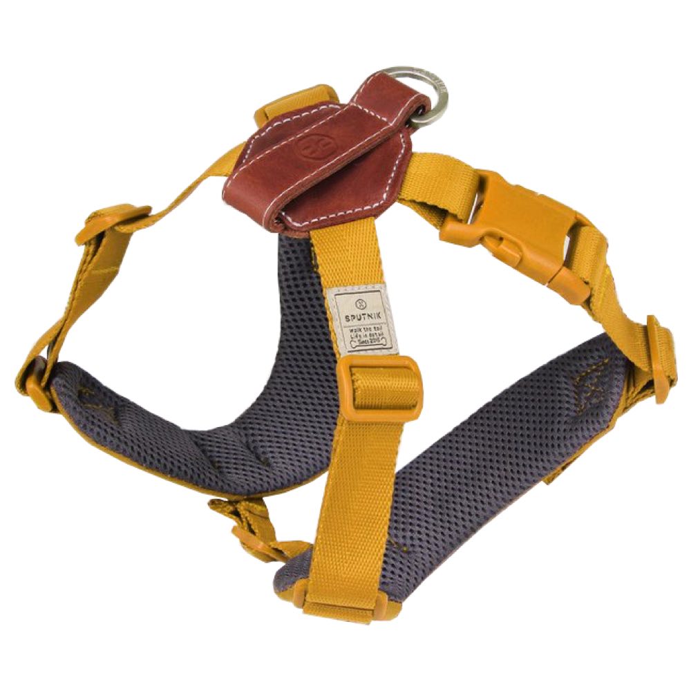 Best harness for tracheal cheap collapse