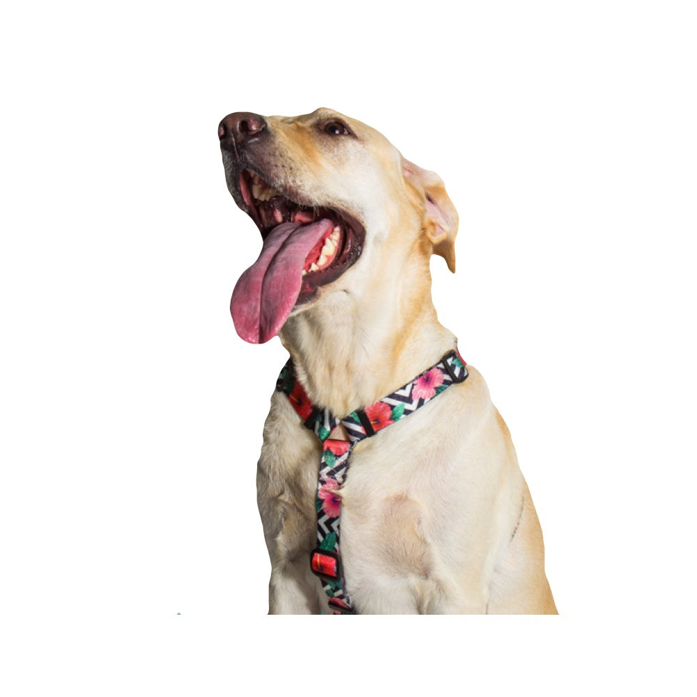 Zee.Dog Mahalo H Dog Harness | Kohepets